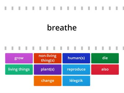 Living and Non Living Things - Vocabulary list
