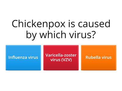 Chicken Pox Varicella