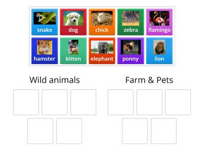 Wild animals vs pets & farm animals