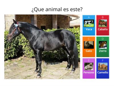 Animales