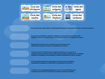 CICLOS BIOGEOQUÍMICOS