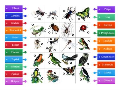 Diagramă cu Insecte și păsări