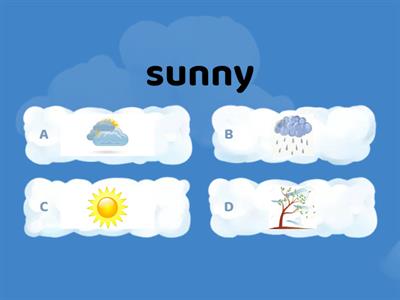 Weather - Quiz