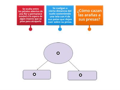 Completar el esquema