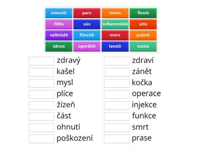 III. deklinace M a F - slovíčka 2