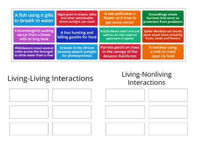 Interactions in Ecosystems: Living and Non-living