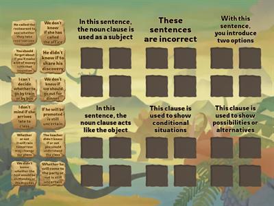 Noun Clauses with If/Whether