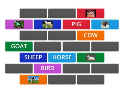 2nd grade - Memory game_farm animals