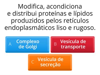 Complexo de Golgi e Vesículas de Secreção