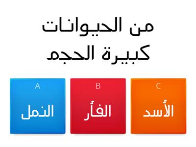 نسخة من مسابقة Homophones