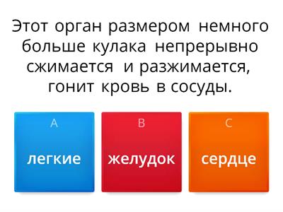 Строение тела человека