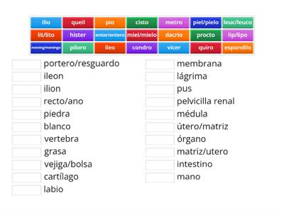 Raíces terminología médica