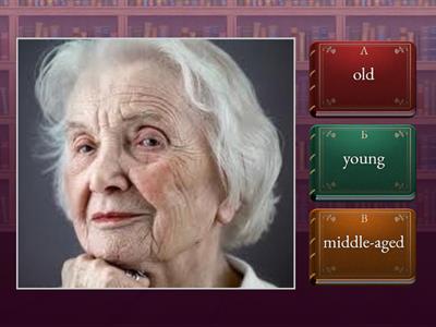 Young- middle-aged - old