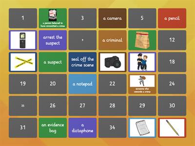 LH9 U4 Crime Scene (Vocabulary)