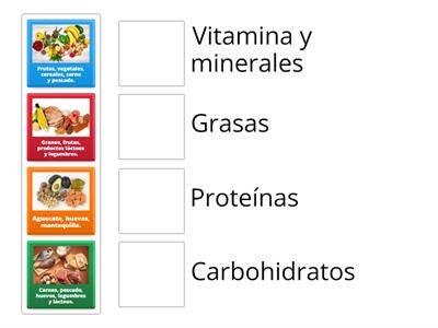 Actividad 2: Clasificación de los alimentos según sus nutrientes.