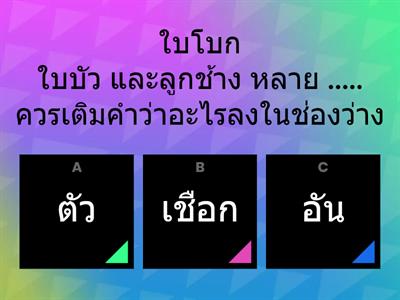 แบบทดสอบบทที่ 6 โรงเรียนลูกช้าง