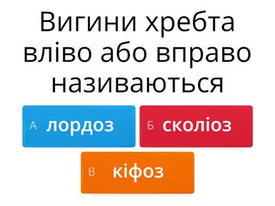 Порушення опорно - рухової системи. З повагою Лариса Терещенко