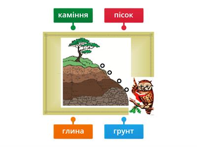 Який склад має грунт?