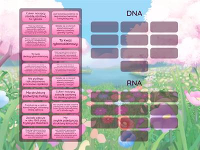 DNA i RNA - czym się różnią?