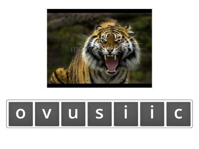 Anagram - cious spellings with pictures
