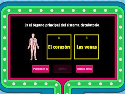 EL SISTEMA CIRCULATORIO