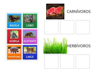 ¿SON CARNÍVOROS O HERBÍVOROS?