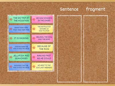 Sentence vs fragment