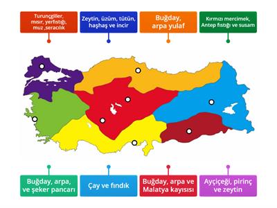 Türkiye Tarım Haritası 1