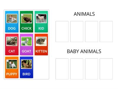 ADULT ANIMALS AND BABY ANIMALS