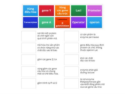 CẤU TRÚC OPERON LAC