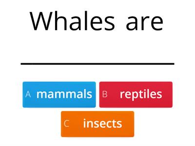 Recap of Aquatic Animals