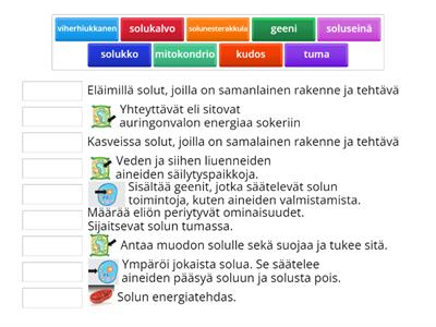 Kappale 2. Solut ovat elämän rakennuspalikoita - käsitteet