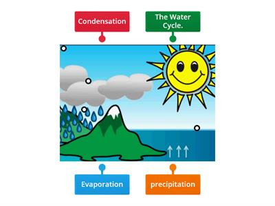   Water Cycle
