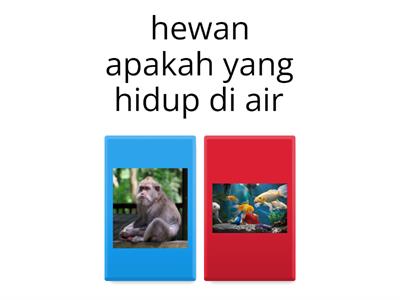 burung hantu