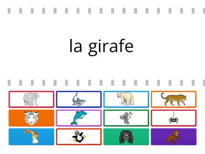 10 Animaux Sauvages 2