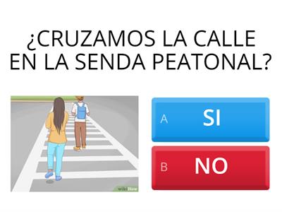 SEGURIDAD VIAL