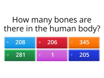 Human Skeleton QUIZ??? (short)