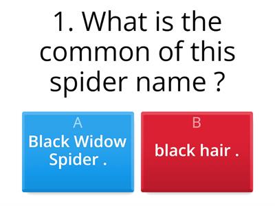 How much you know About the Black Widow ?
