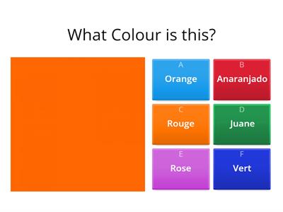  French Colours Quiz