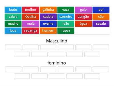  Género dos nomes 