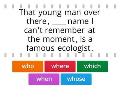 Non-defining relative clauses (who, whose, where, when, which)