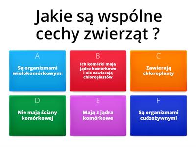 Klasa 6 Biologia W Królestwie Zwierząt - Materiały Dydaktyczne