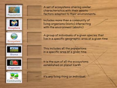 Cellular Levels of Organization