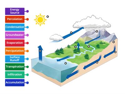 4th Grade Water cycle - Recursos didácticos