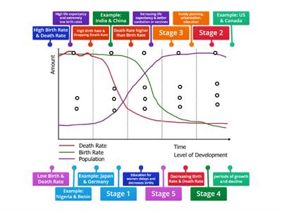 Demographic Transition Model Review
