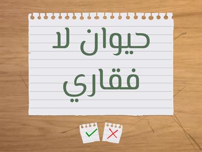 الحيوانات