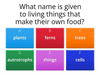 The Non Animal Kingdom - Multiple Choice Questions 