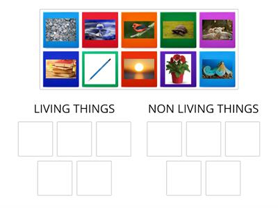 LIVING THINGS VS NON-LIVING THINGS