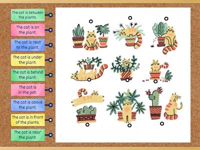 Prepositions of Place