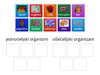 Jednoćelijski i višećelijski organizmi-5.razred